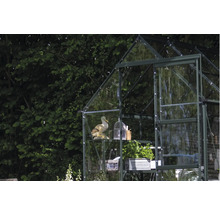 Gewächshaus mit Regalen, Pflanzen und Dekorationen im Garten