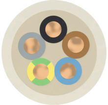 Kabelquerschnitt mit fünf Adern