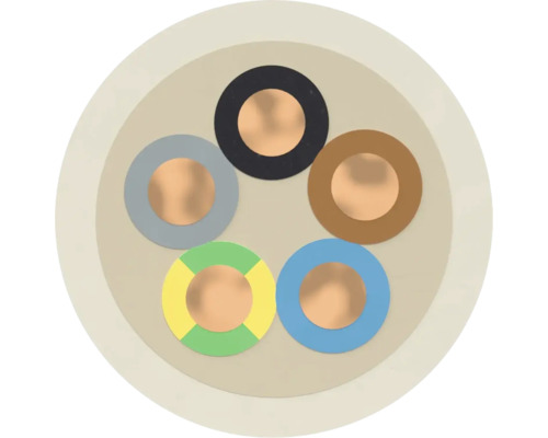 Kabelquerschnitt mit fünf Adern