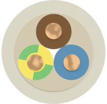 Coupe transversale d'un câble électrique à trois conducteurs