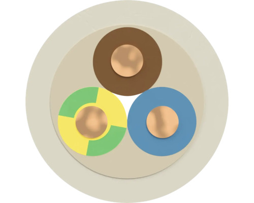 Coupe transversale d'un câble électrique à trois conducteurs