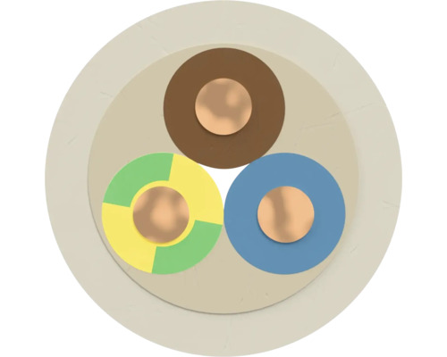 Section transversale d'un câble d'alimentation à trois conducteurs