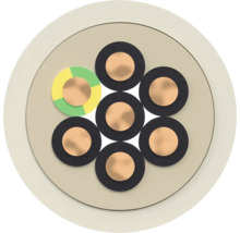 Section transversale d'un câble électrique à sept conducteurs