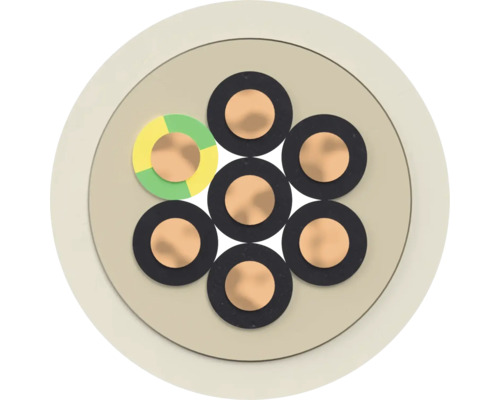 Section transversale d'un câble multiconducteur avec plusieurs conducteurs