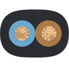 Section transversale d'un câble électrique à deux fils