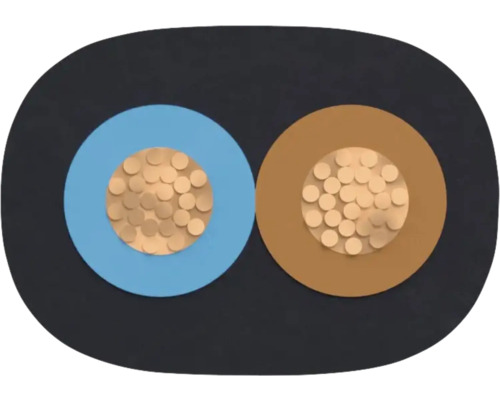 Section transversale d'un câble électrique à deux fils