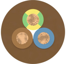 Querschnitt eines Elektrokabels mit drei Adern