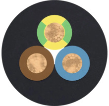 Coupe transversale d'un câble électrique à trois conducteurs