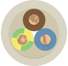 Section transversale d'un câble d'alimentation à trois conducteurs