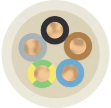 Querschnitt eines Elektrokabels mit fünf Adern