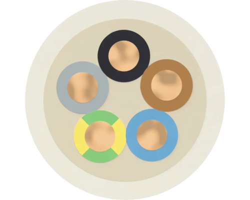 Querschnitt eines Elektrokabels mit fünf Adern