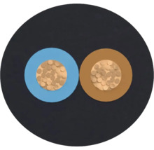 Section transversale d'un câble électrique à deux conducteurs