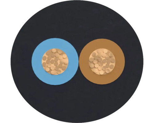 Section transversale d'un câble électrique à deux conducteurs