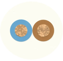 Coupe transversale d'un câble électrique à deux fils