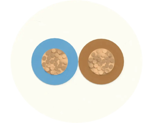 Coupe transversale d'un câble électrique à deux fils