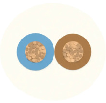 Vue détaillée d'une ligne électrique à deux conducteurs