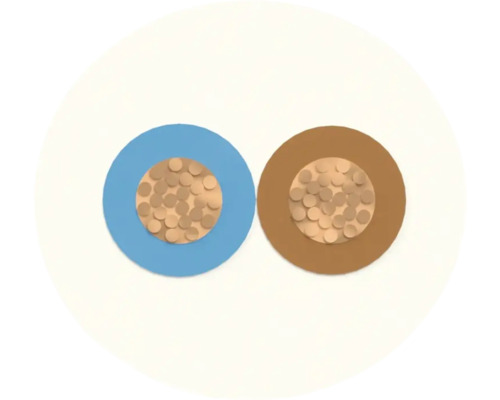 Vue détaillée d'une ligne électrique à deux conducteurs