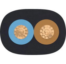 Câble à deux conducteurs en coupe transversale