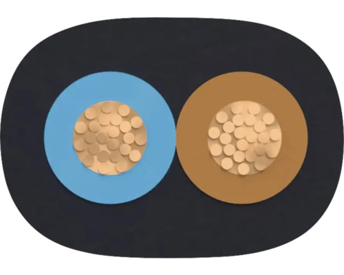 Câble à deux conducteurs en coupe transversale