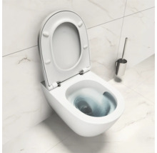 WC suspendu à bride ouverte et garniture de brosse de toilette