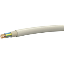 Câble souterrain avec plusieurs conducteurs