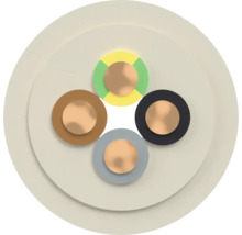 Coupe transversale d'un câble d'alimentation multiconducteur