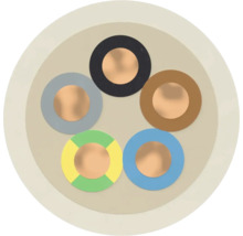 Querschnitt eines Elektrokabels mit fünf Adern