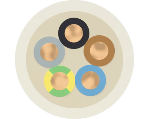 Section transversale d'un câble électrique à cinq fils