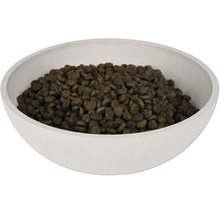 Nourriture sèche pour chats dans un bol