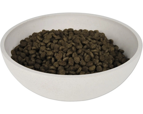 Nourriture sèche pour chats dans un bol