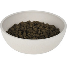 Gamelle remplie de nourriture pour animaux