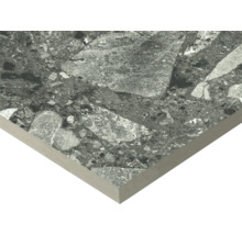 Carreau avec motif de pierre