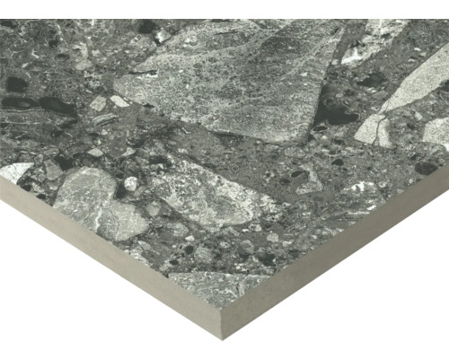 Carreau avec motif de pierre