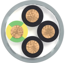 Section transversale d'un câble électrique à quatre conducteurs