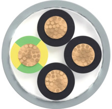 Section transversale d'un câble électrique avec quatre fils