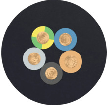 Section transversale d'un câble électrique à cinq conducteurs