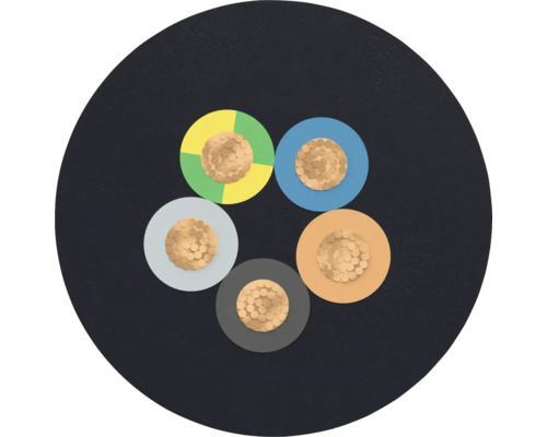 Section transversale d'un câble électrique à cinq conducteurs