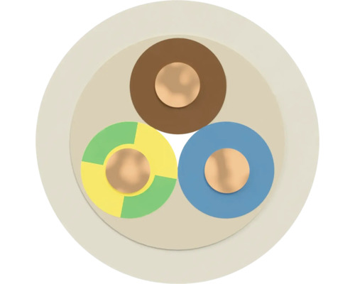 Section transversale d'un câble électrique à trois conducteurs