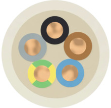 Querschnitt eines fünfadrigen Elektrokabels