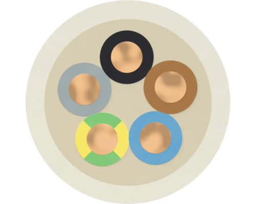 Querschnitt eines fünfadrigen Elektrokabels