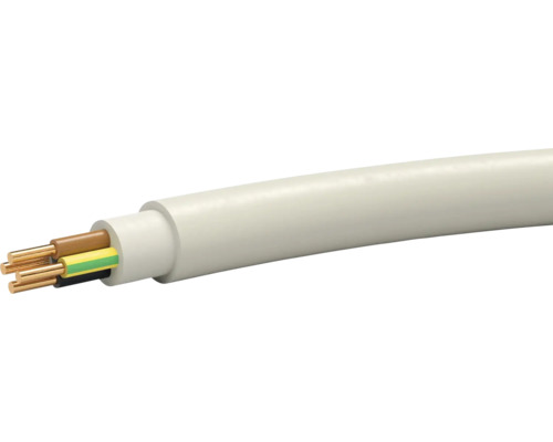 Câble électrique avec plusieurs conducteurs internes