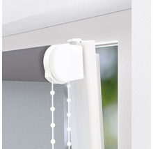 Detailansicht eines Rollos am Fenster mit Kettenzugbedienung.