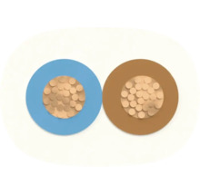 Section transversale d'un câble flexible à deux conducteurs