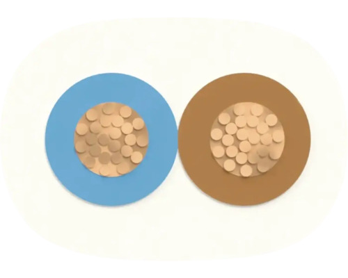 Section transversale d'un câble flexible à deux conducteurs