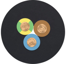 Coupe transversale d'un câble électrique à trois conducteurs