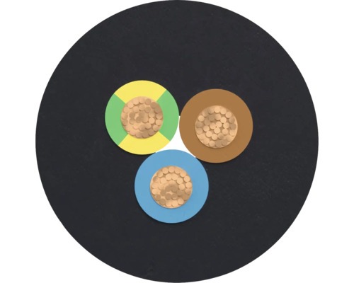 Coupe transversale d'un câble électrique à trois conducteurs