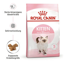 Royal Canin Kitten Trockenfutter für Kätzchen bis 12 Monate