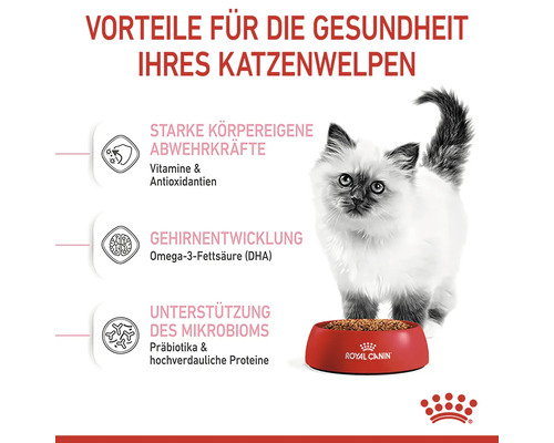 Informationen zu den gesundheitlichen Vorteilen von Royal Canin Katzenfutter für Kätzchen