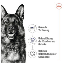 Produktinformationen zu gesundheitlichen Vorteilen von Hundefutter mit Deutschem Schäferhund auf dem Bild.