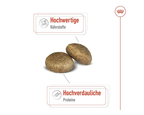 Zwei Kroketten Hundefutter mit Hinweisen zu Nährstoffen und Proteinen